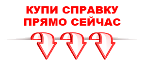 справка в Краснодаре